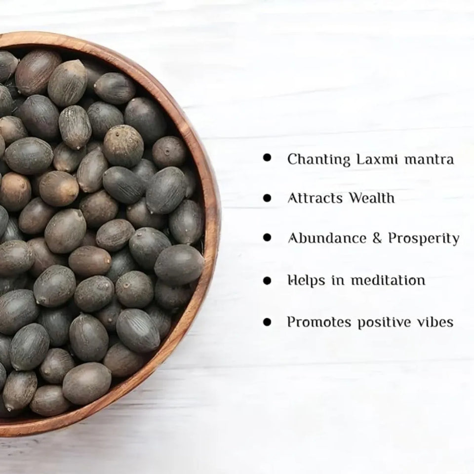 Feng Shui (VASTU) Bonsai Lotus Flower Seeds – Grow Peace, Beauty & Positivity at Home⭐️⭐️⭐️⭐️⭐️4.8/5 (1600+ REVIEWS)