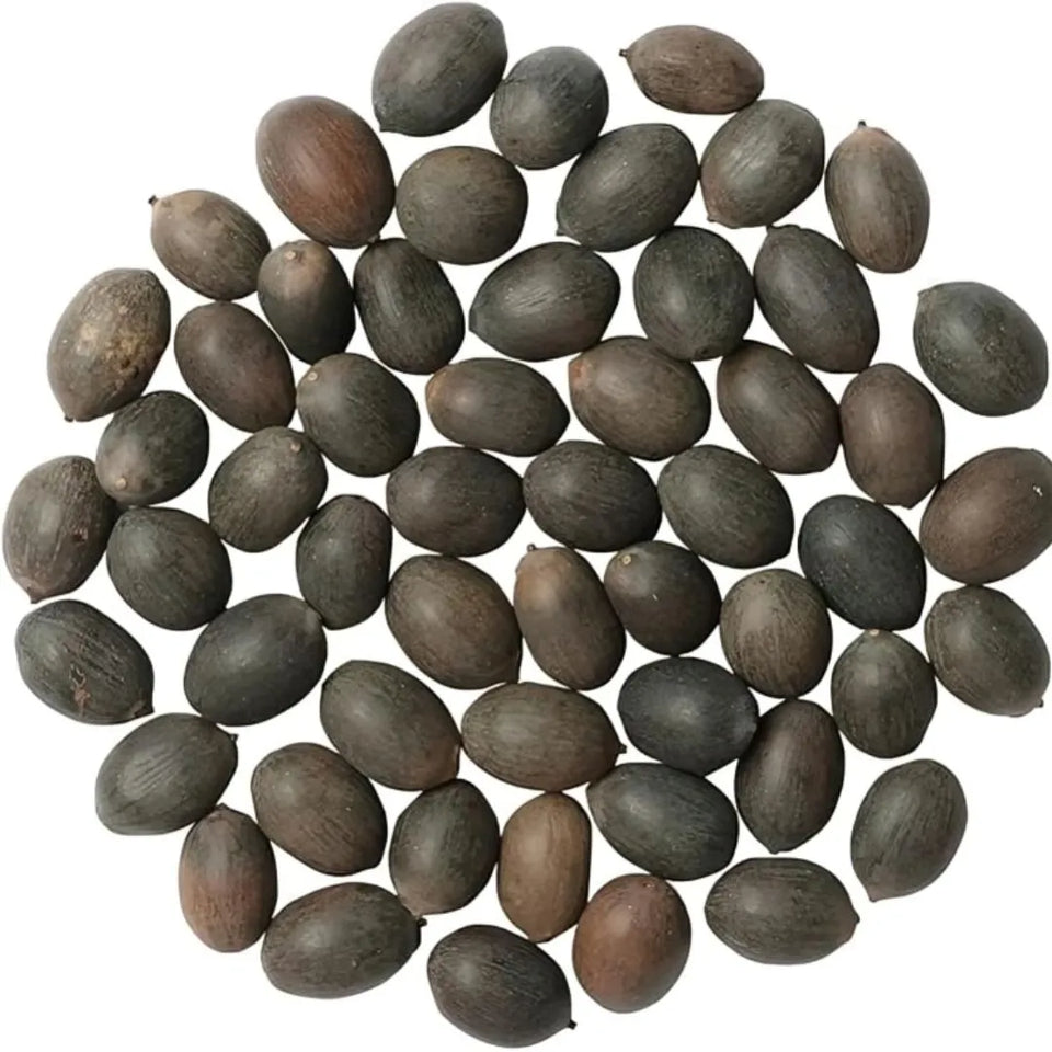 Feng Shui (VASTU) Bonsai Lotus Flower Seeds – Grow Peace, Beauty & Positivity at Home⭐️⭐️⭐️⭐️⭐️4.8/5 (1600+ REVIEWS)